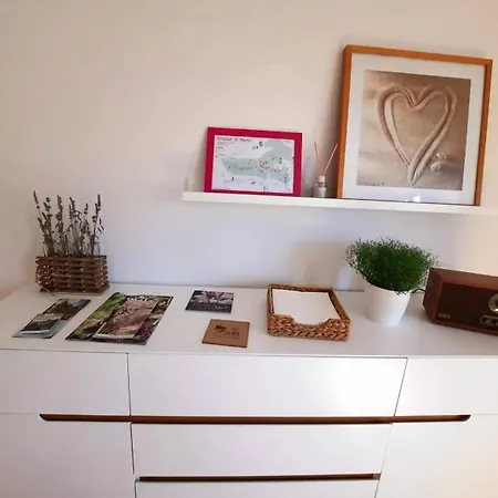 225 N.n. Apartment *